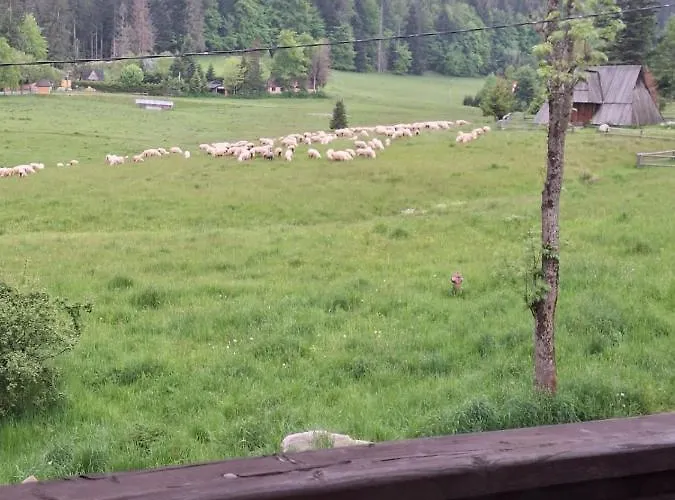 Apartament Osa Bogdańskiego 4 Zakopane | 2★