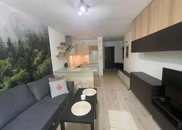 Kasprusie 10 By Homeprime Zakopane | 2★