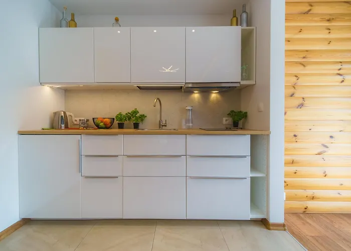 Villa Odskocznia Apartamenty Zakopane | 2★