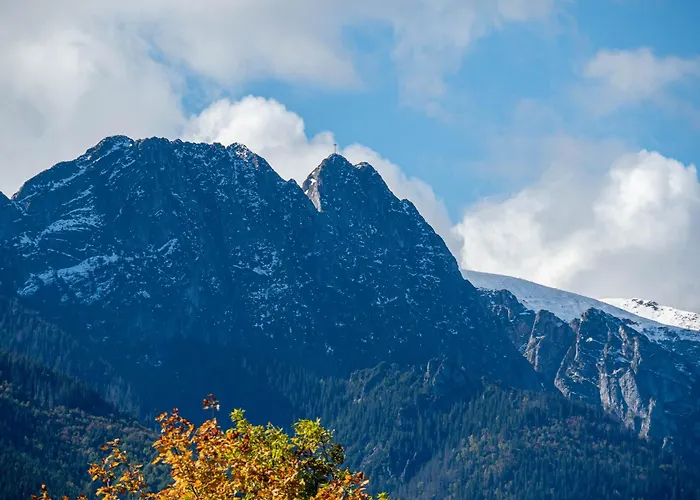 Apartamenty Hrube Niżne 23D Zakopane | 2★