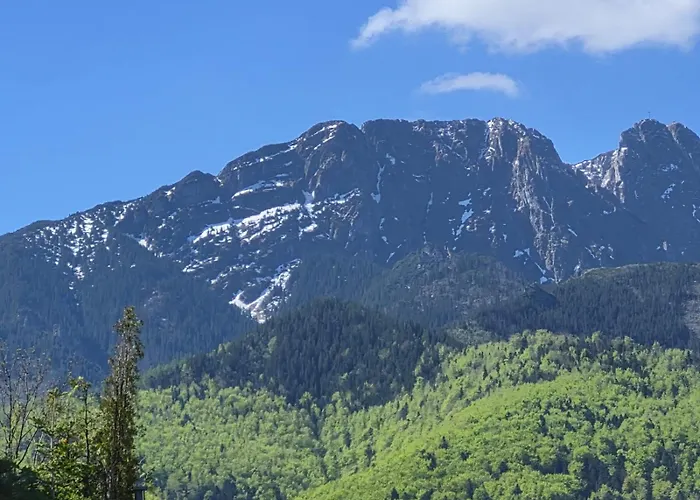 Krupówki 36 / 8a - Pokój 2 osobowy z widokiem na Giewont Zakopane | 2★