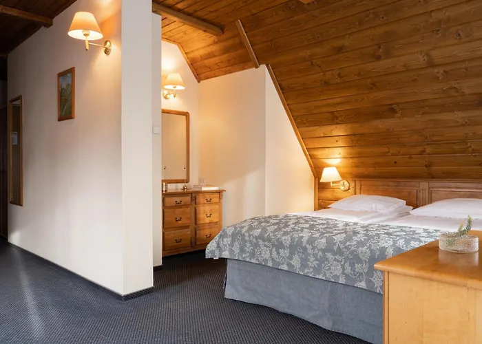 Czarny Potok Wellness & Spa Zakopane Centrum