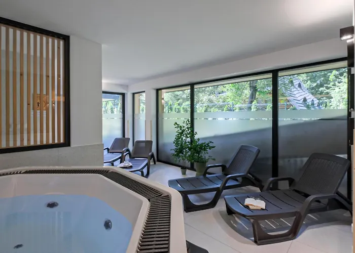 Apartamenty Male Zywczanskie Spa, Odkryj-Zakopane